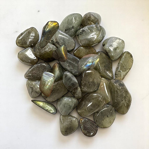 Pierres roulées de Labradorite de Madagascar aux reflets chatoyants bleus et dorés.