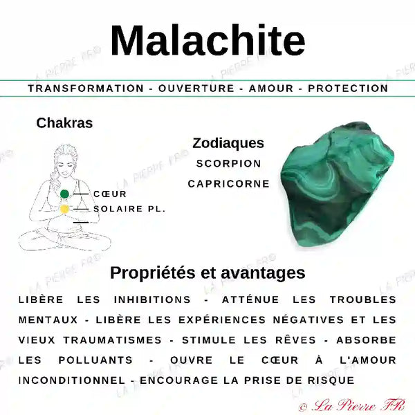 Malachite (Congo) - Lot de 2 Pierres Roulées (2-3cm) minéraux