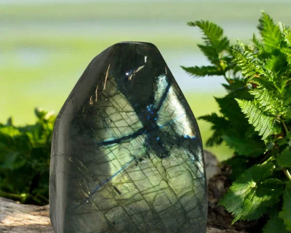 Une pierre de Labradorite polie, montrant son jeu de couleurs spectaculaire (labradorescence) avec des reflets bleus et dorés.