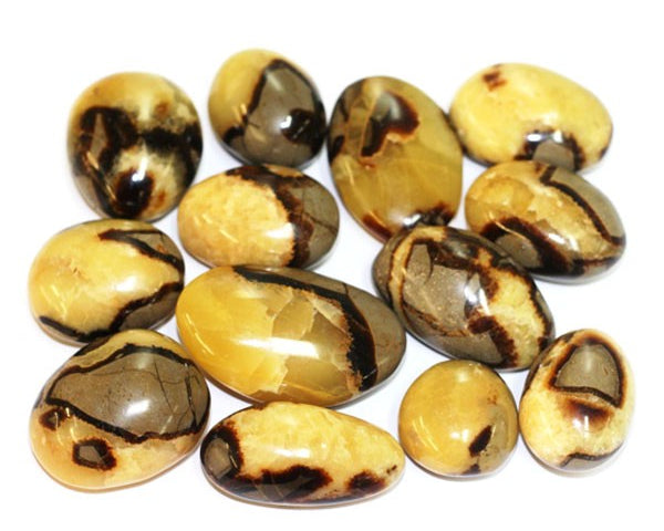 Septaria : histoire, gisements, vertus, chakras, signes & entretien