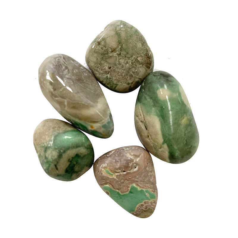 Variscite : Origine, Vertus et Propriétés de la Pierre en Lithothérapie