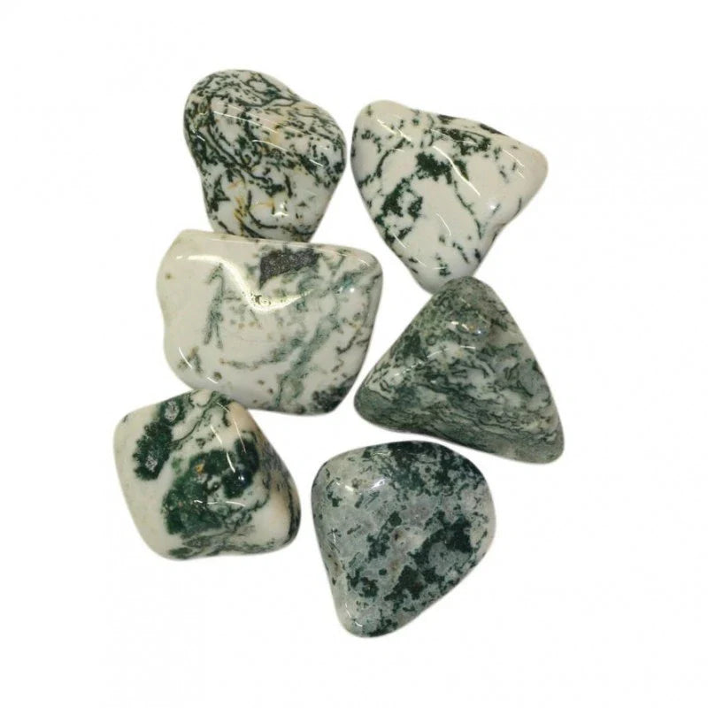 Agate Dendritique