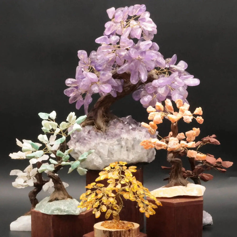 Bonsaï / Arbre de vie - La Pierre FR