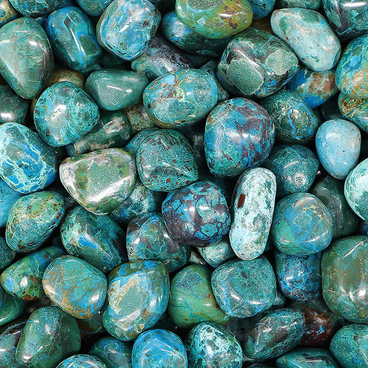 Chrysocolle