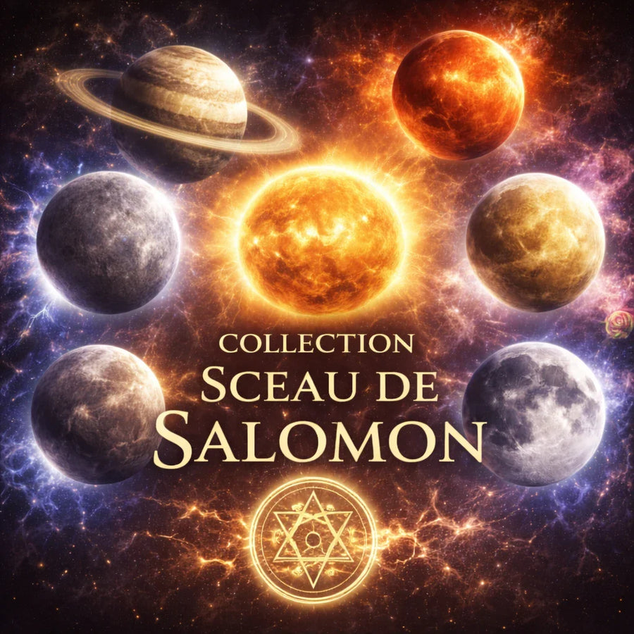 collection seau de Salomon