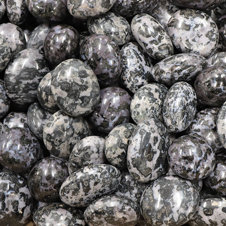gabbro