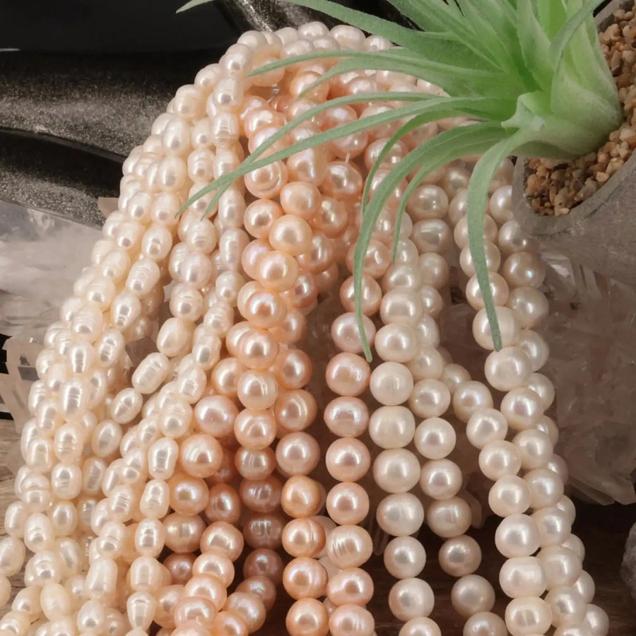 Perles de culture - La Pierre FR
