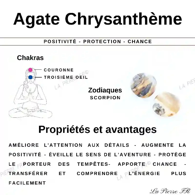 Perles Agate Chrysanthème en pierre naturelle -Qualité AA + perle