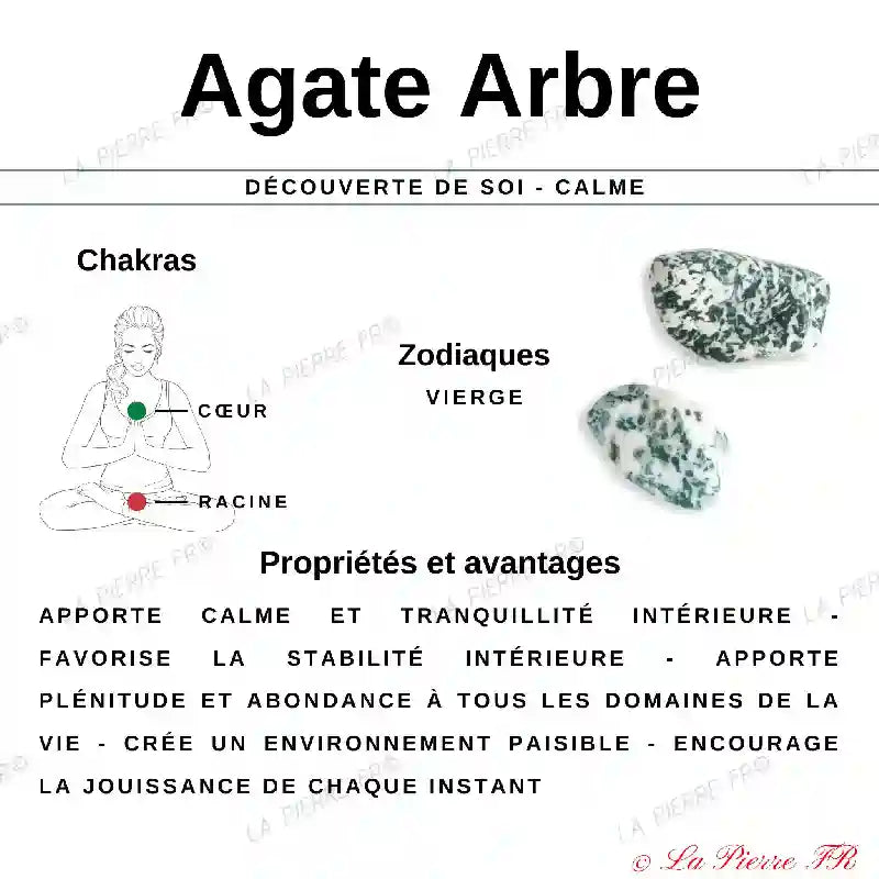 Perles Agate Arbre en pierre naturelle - Qualité AA+
