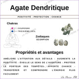 20 Perles Agate Dendritique Naturelle ronde 8mm (Madagascar)
