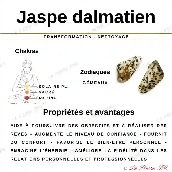 26 perles Jaspe Dalmatien naturelle rectangulaire perle pierre