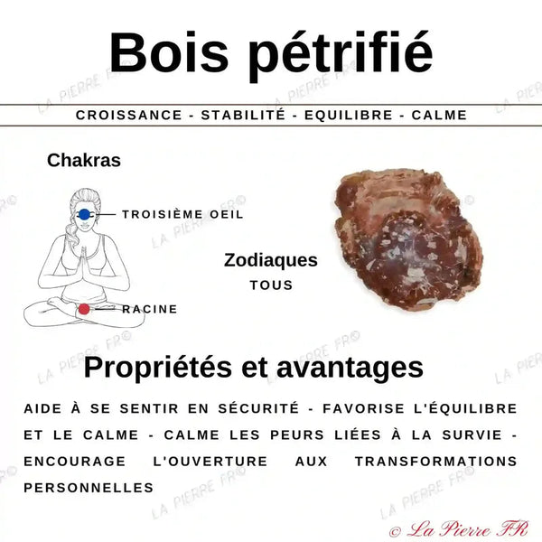 vertus du bracelet pierre naturelle Bois fossilisé - Pétrifié - La Pierre FR
