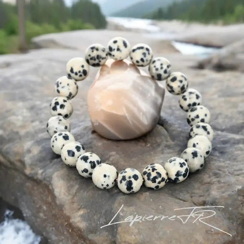 Bracelet de lithothérapie en Jaspe Dalmatien véritable porté, bijou pierre naturelle unique pour confiance et chakra racine/sacré.