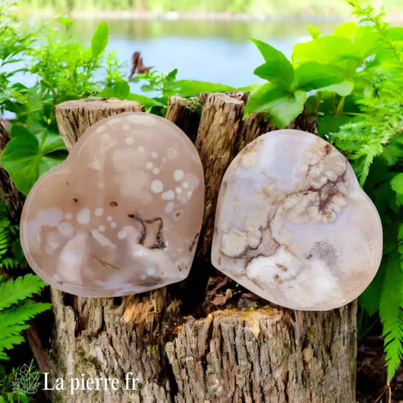 Cœur en pierre naturelle d'Agate Fleur - Motifs floraux uniques, idéal pour lithothérapie, méditation et décoration.