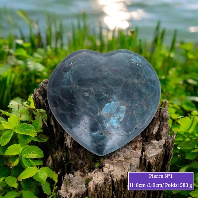 Cœur en Apatite Bleue taillé, pierre naturelle bleu profond pour lithothérapie