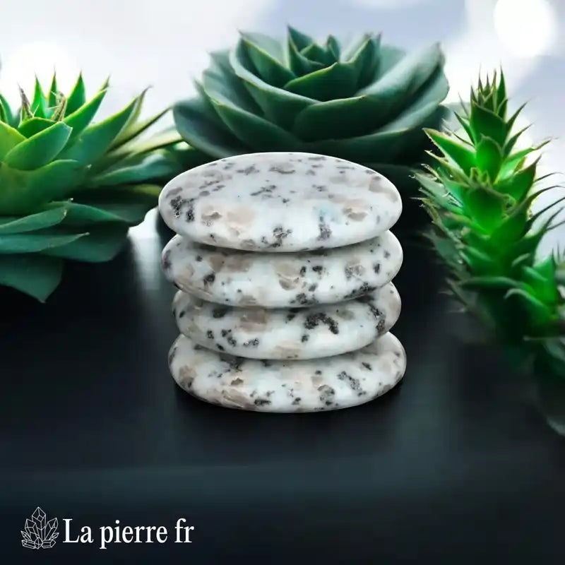 Vue du galet plat de Jaspe Sésame, pierre naturelle de vivacité d'esprit et d'équilibre