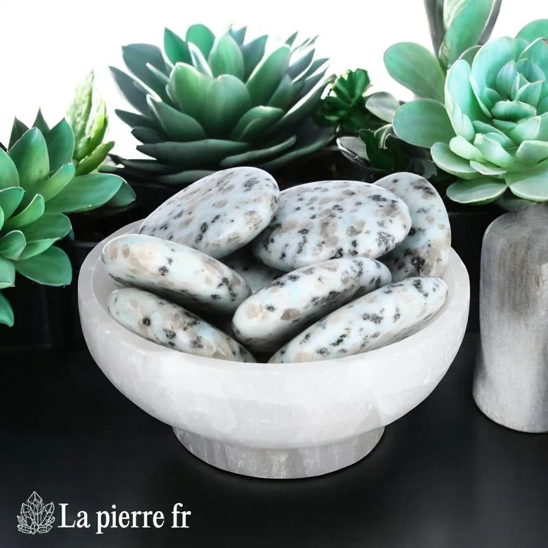 Jaspe Sésame en galet plat - Pierre de Vivacité d'Esprit et d'Équilibre