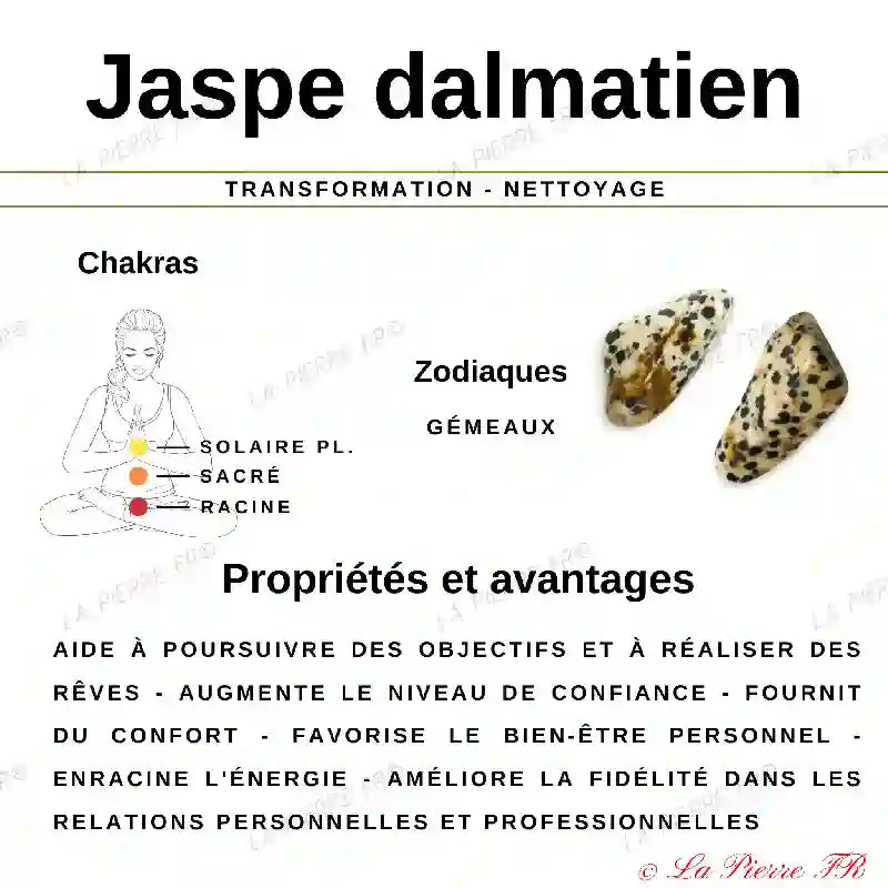 Perles Jaspe Dalmatien 4 mm x 13 – Lot de 26 perles naturelles perle pierre naturelle