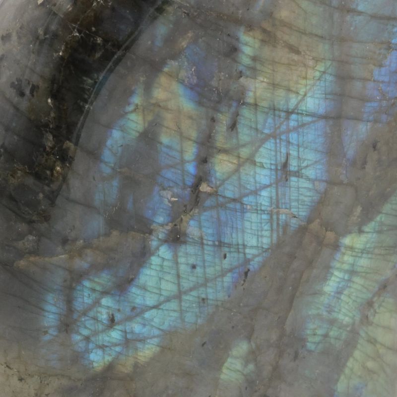 Pièce polie de Labradorite de Madagascar, jeux de lumière bleutés, minéral naturel