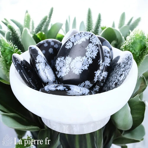 Galet Plat en Obsidienne Mouchetée, Pierre Anti-Stress de 4 cm