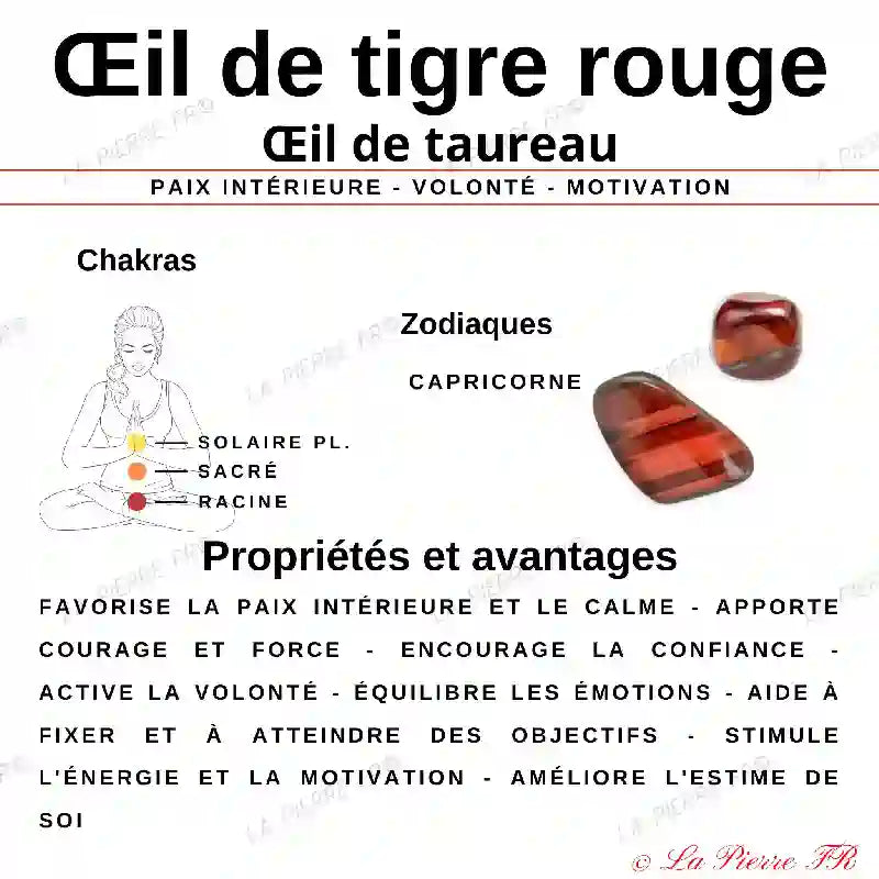 Vertus et propriétés de l’Œil de Taureau Multi en lithothérapie — pierre naturelle de triple protection associant courage, ancrage et équilibre énergétique.