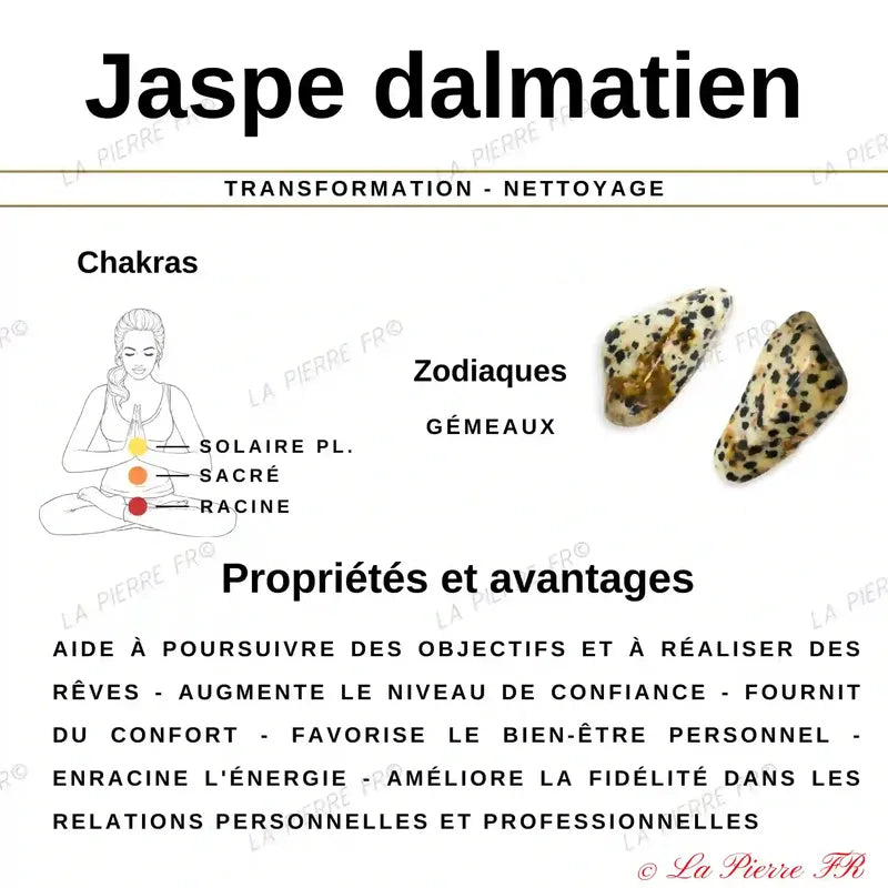 Perles Heishi Jaspe Dalmatien naturelle 4mm - La Pierre FR