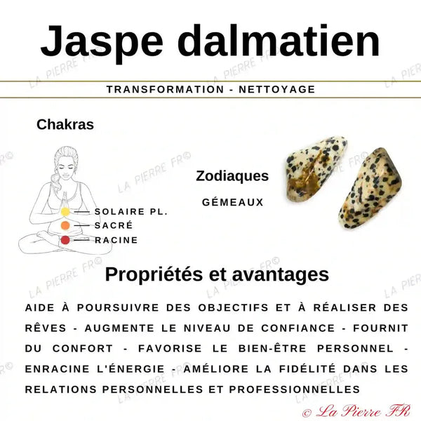 Perles Heishi Jaspe Dalmatien naturelle 4mm - La Pierre FR