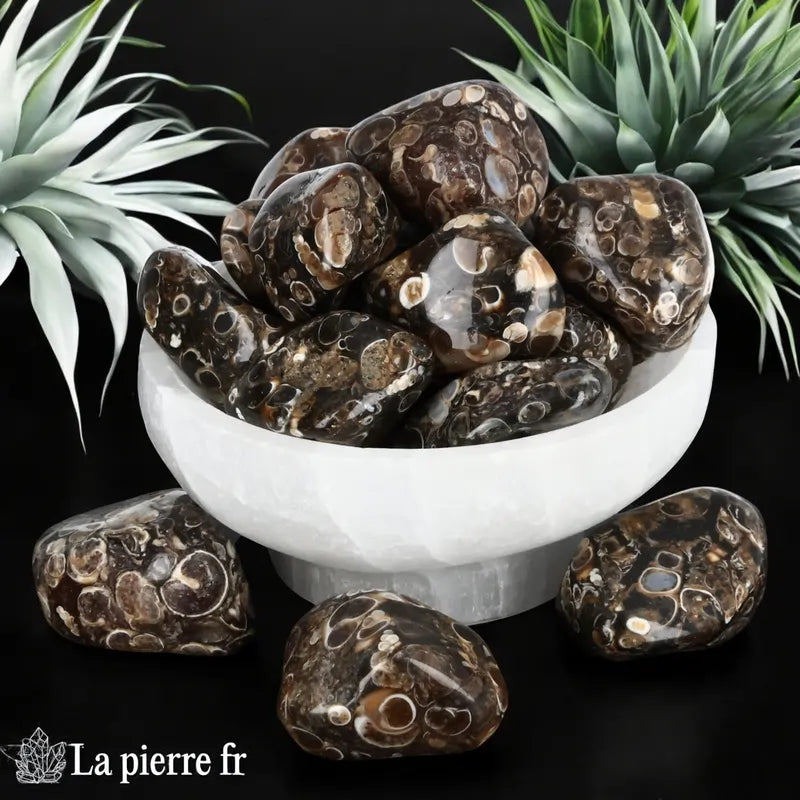 Pierres roulées en Agate avec Turitelles naturelle. Idéale pour lithothérapie, ancrage et équilibre énergétique.