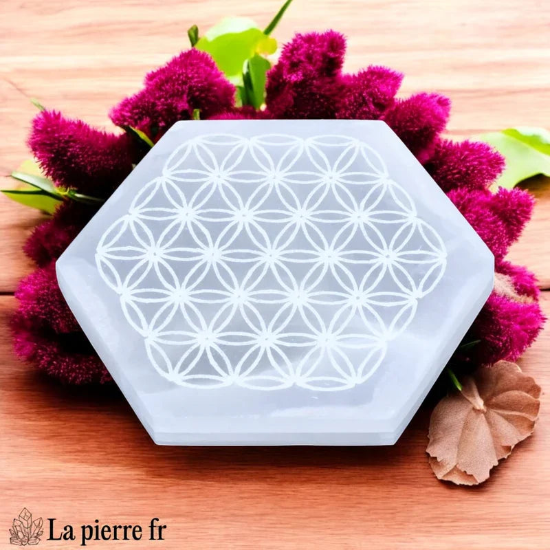 Plaque de rechargement hexagonale en sélénite naturelle avec Fleur de Vie. Purifiez et rechargez vos pierres avec une géométrie sacrée puissante.