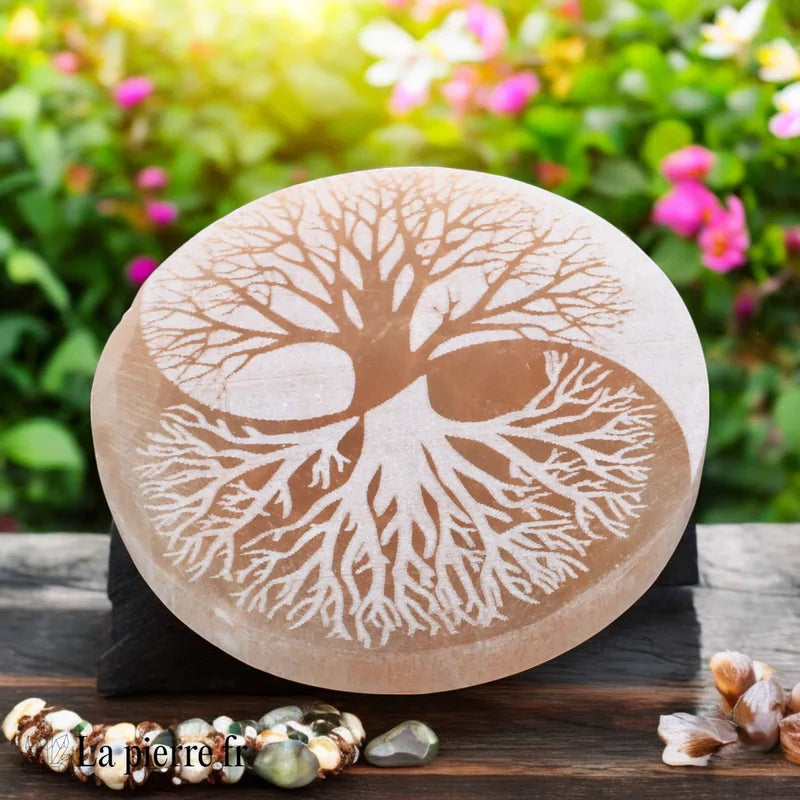Plaque de rechargement en sélénite orange (Ø 10cm) gravée Arbre de Vie et Yin Yang. Équilibre, harmonie, purification et rechargement de vos pierres.