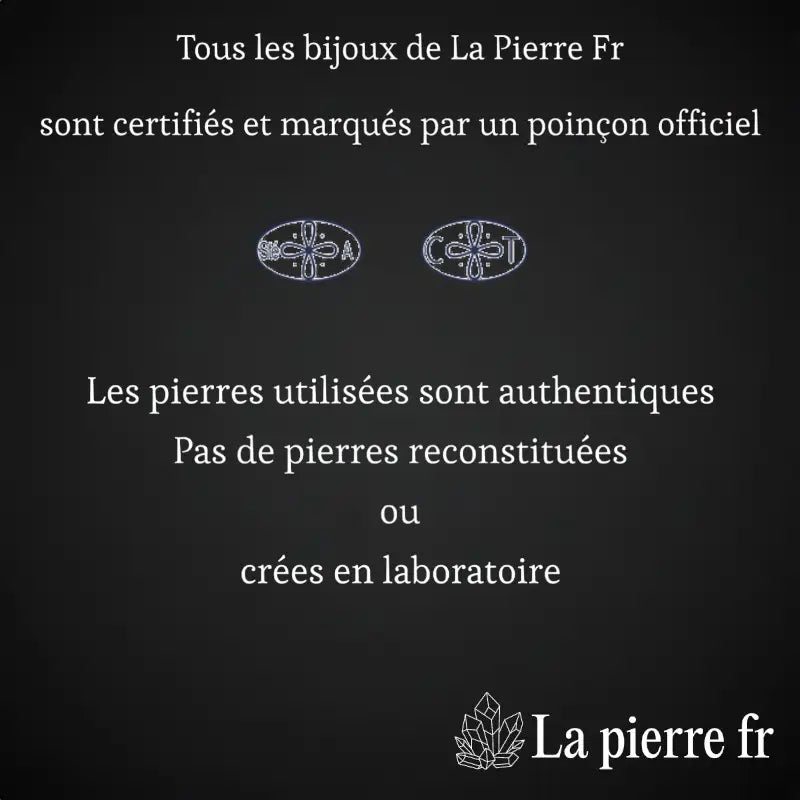 Bague Argent 925 + Poinçon de garantie français