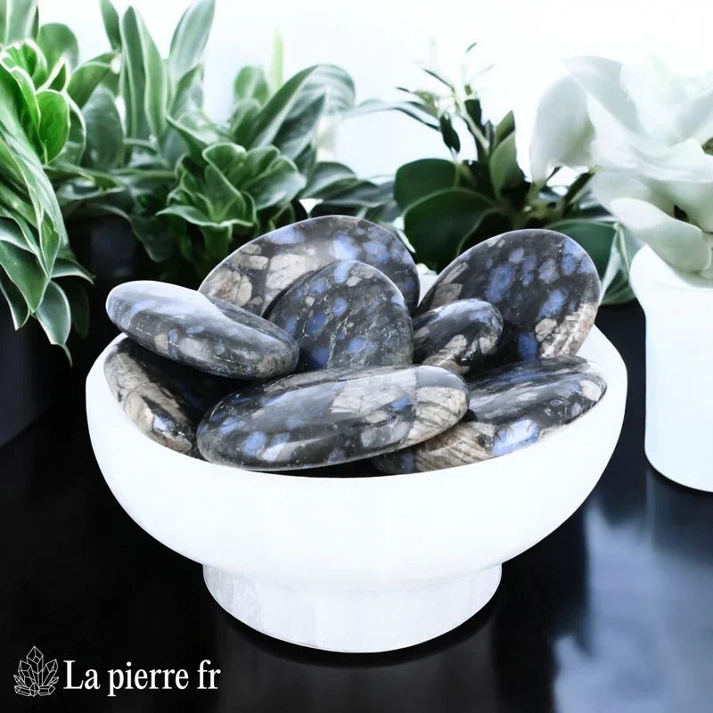 Que Sera (Vulcanite) en galet plat - Pierre contre les Ondes Électromagnétiques