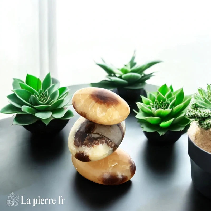 Septaria en galet - Pierre Naturelle d'Énergie Apaisante et Harmonie