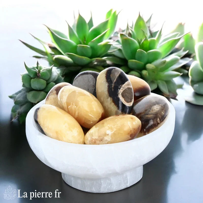 Septaria en galet - Pierre Naturelle d'Énergie Apaisante et Harmonie