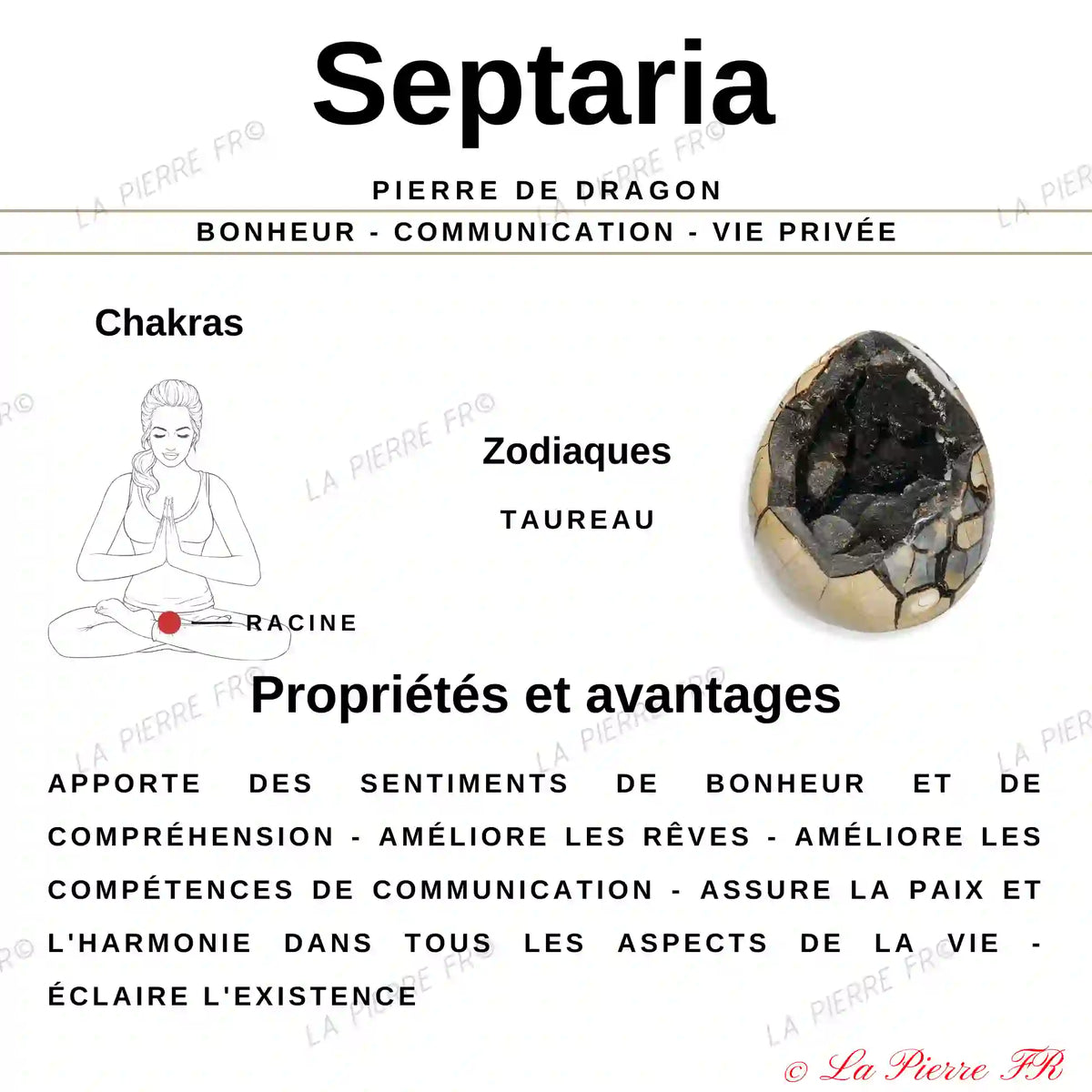 Septaria en galet - Pierre Naturelle d'Énergie Apaisante et Harmonie