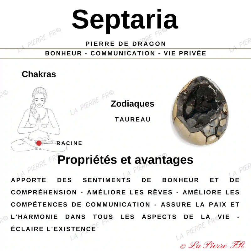 Galet Septaria Naturelle minéraux