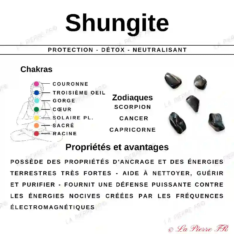 Pendentif en Shungite - Pierre Roulée