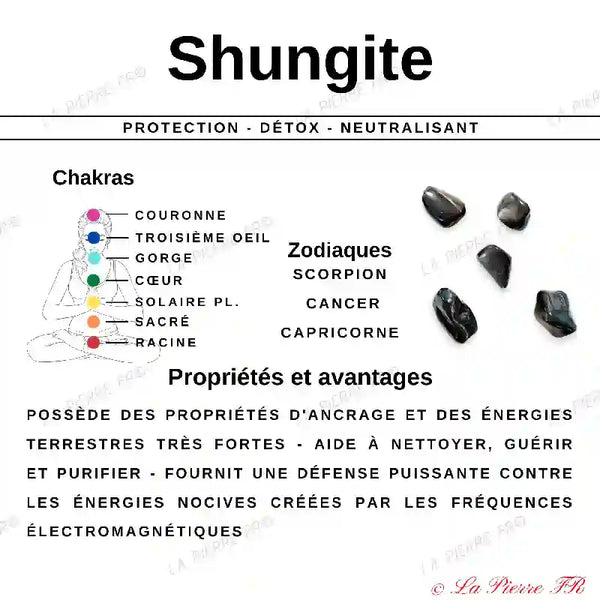 Pendentif Shungite Naturelle en Pointe pendentif shungite