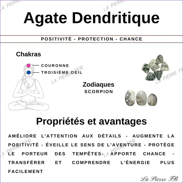Agate Dendritique (Botswana) - Lot de 4 Pierres Roulées (2-3cm) minéraux