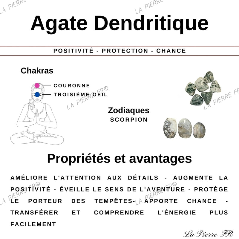 Pierre en Agate Dendritique - Forme Libre