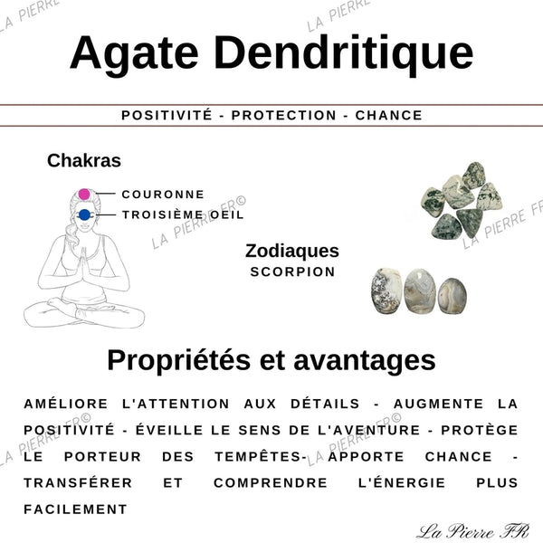Pierre en Agate Dendritique - Forme Libre