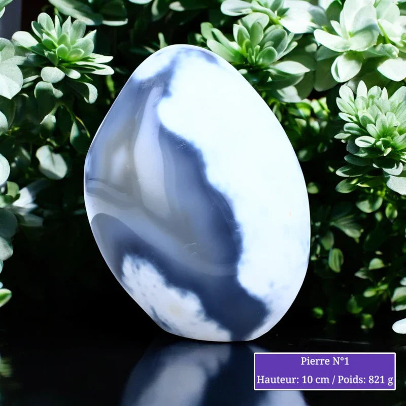 Pierre en Agate Orque - Forme libre minéraux