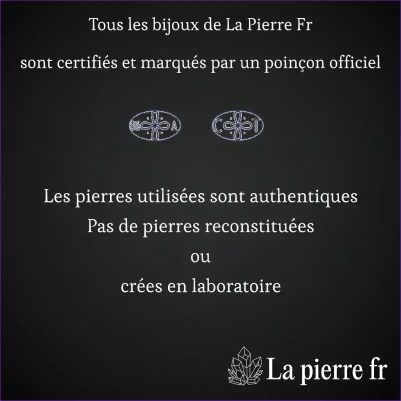 Bague Argent 925 + Poinçon de garantie français