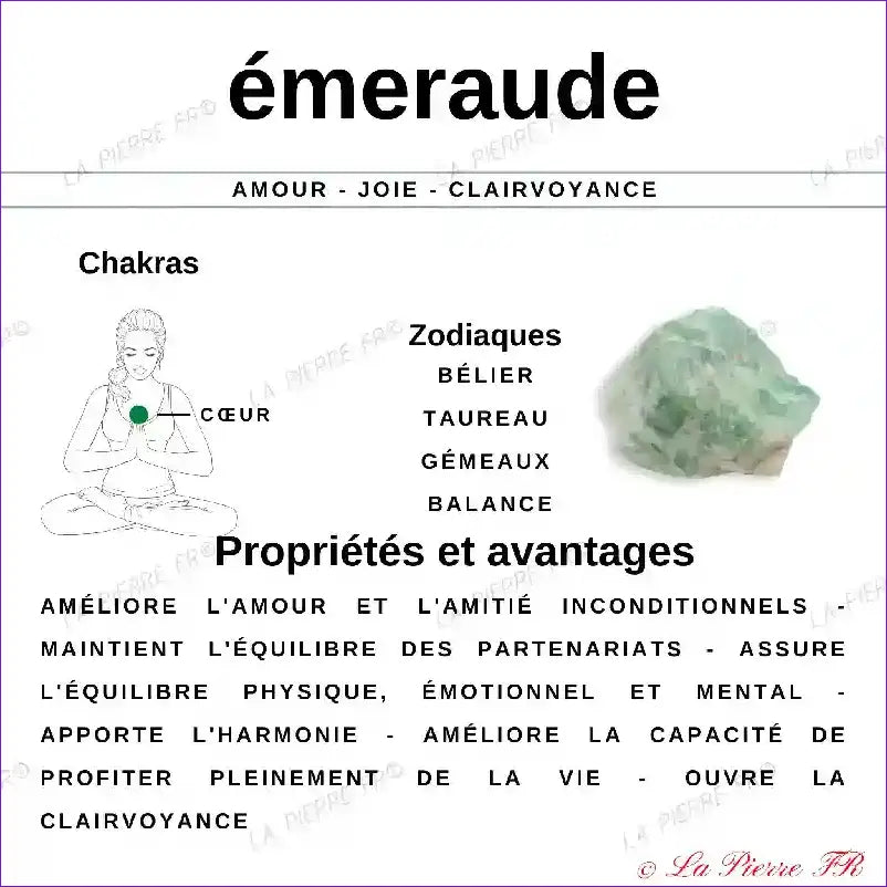 Bague Émeraude en argent rhodié (Odyssea) bague et pierre