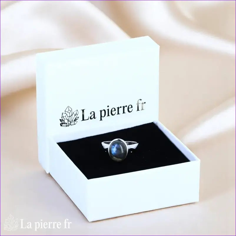 Vue portée Bague Labradorite (Fresque Bohème) vintage émaillée sur fond blanc