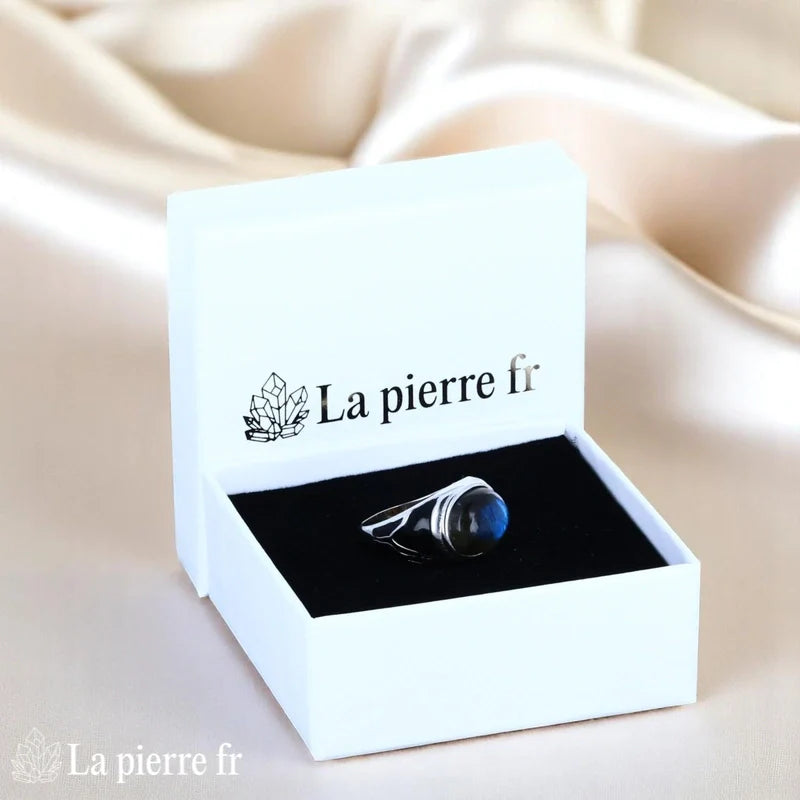Vue portée Bague Labradorite (Blason Artisanal) chevalière émaillée sur fond blanc