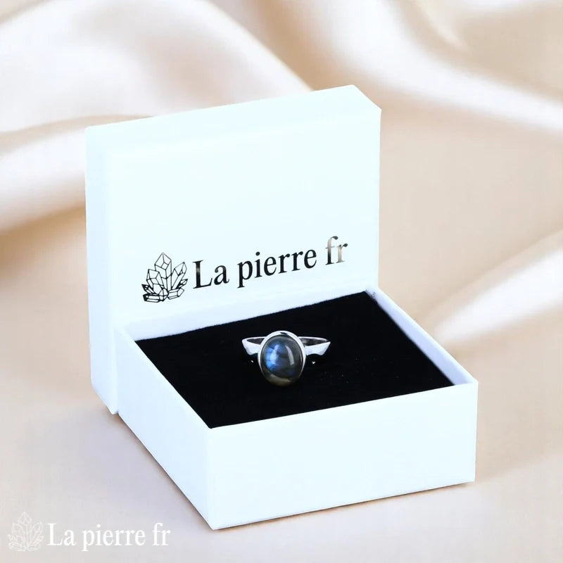 Vue portée Bague Labradorite (Fresque Bohème) vintage émaillée sur fond blanc