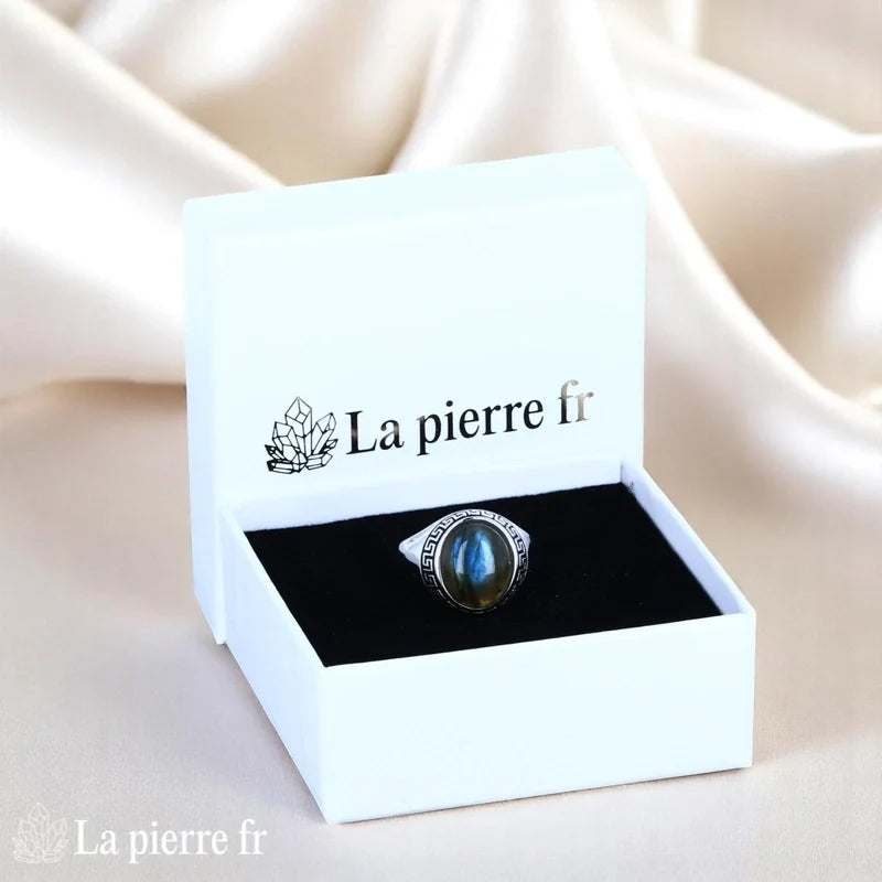 Vue portée Bague Labradorite (Romance Émaillée) fiançailles émaillée sur fond blanc