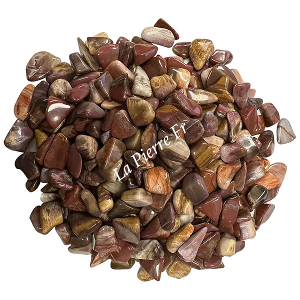 Bois fossilisé pierre naturelle – texture ligneuse pétrifiée et vertus en lithothérapie
