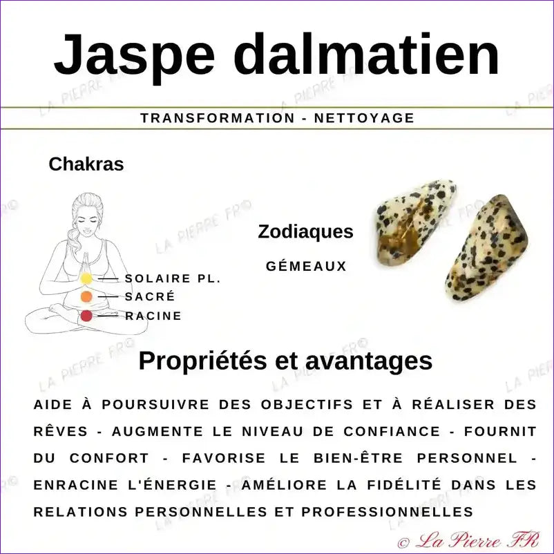 vertus du bracelet jaspe dalmatien